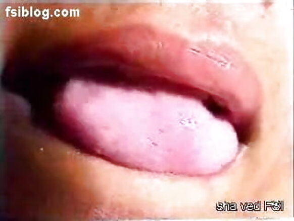 india india haadha manaa bilchaataa punjabi sexy movie hd video