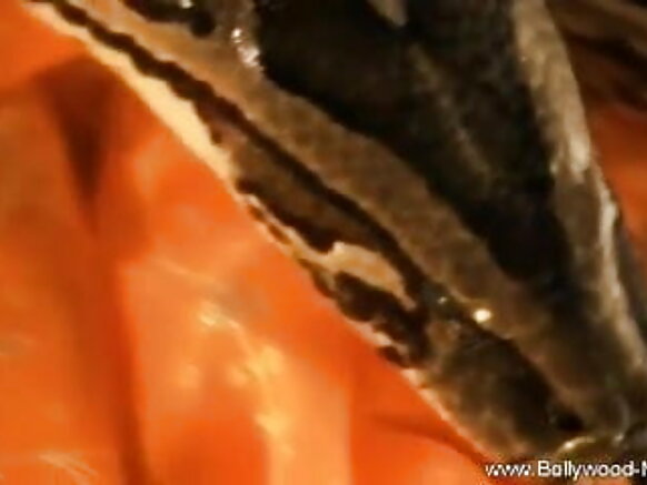 Bharat bofa bhojpuri movie sex video hottie fi shubbisaa nama hin amansiifne