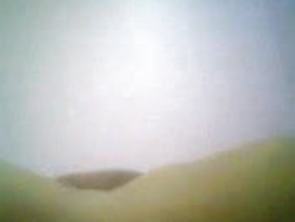 hindi indian sexy image fiilmii intala yunivarsiitii