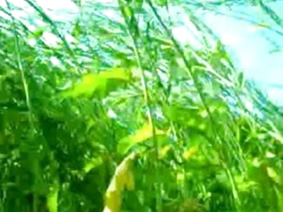 beellama bosona afaan oromoo sexy video selva movie